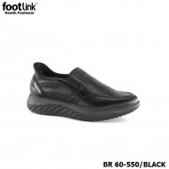 D550 Model BR 60-550 